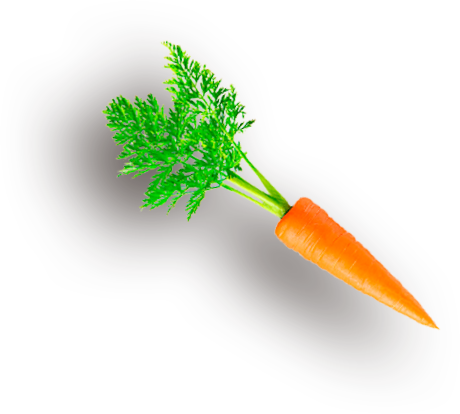 INSTITUTO ACATITLAN ciencia