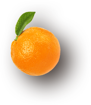 INSTITUTO ACATITLAN deporte