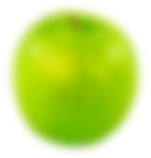 INSTITUTO ACATITLAN tecnologia