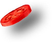 INSTITUTO ACATITLAN filosofia